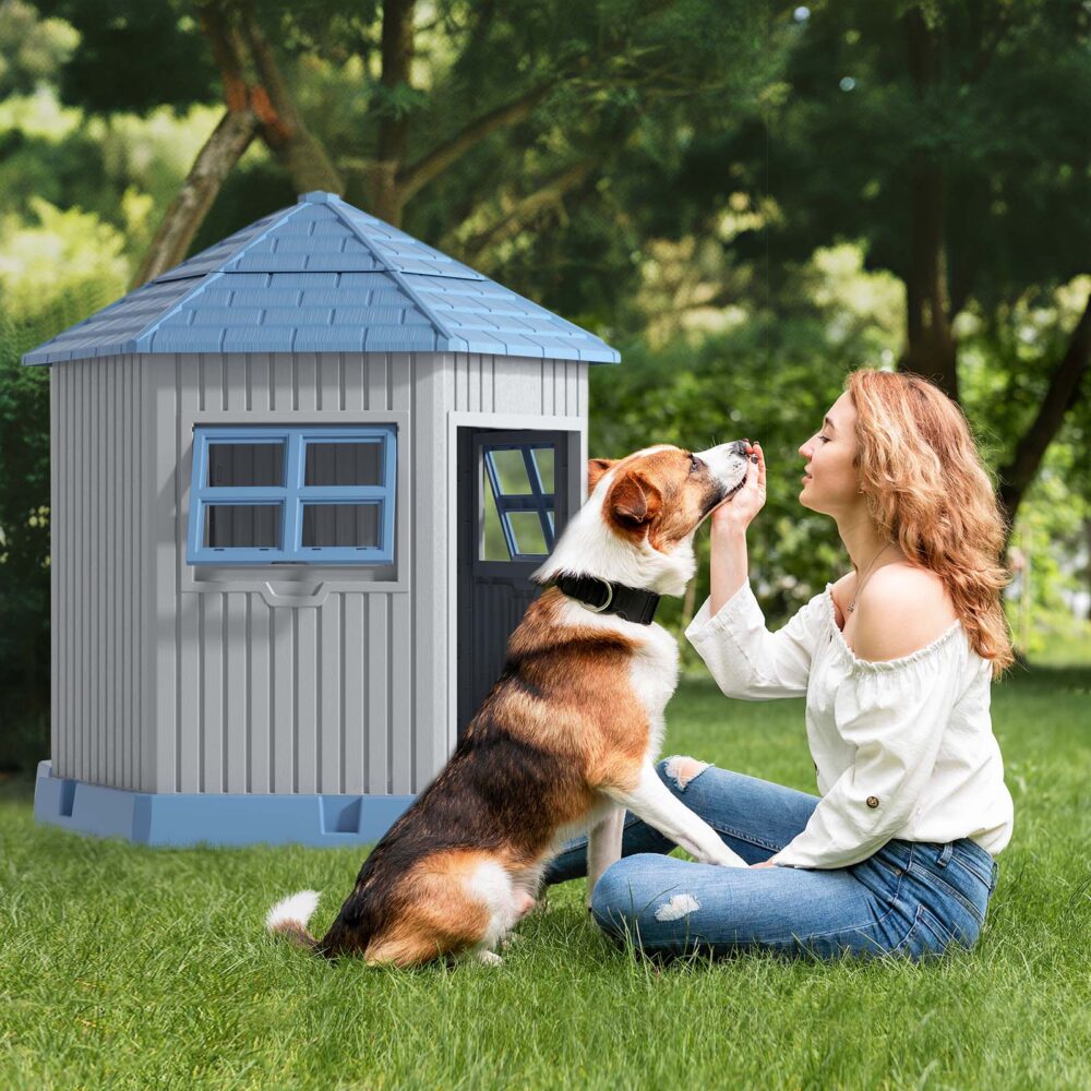 Paw Castle - Image 2